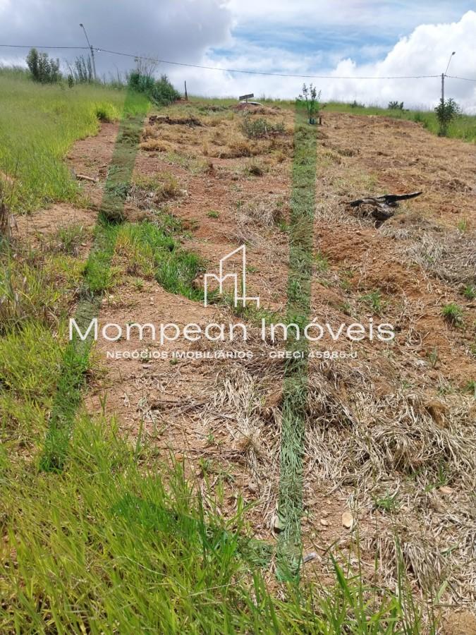 Terreno, 244 m² - Foto 5